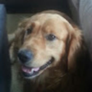 Meet your Posher, Cory